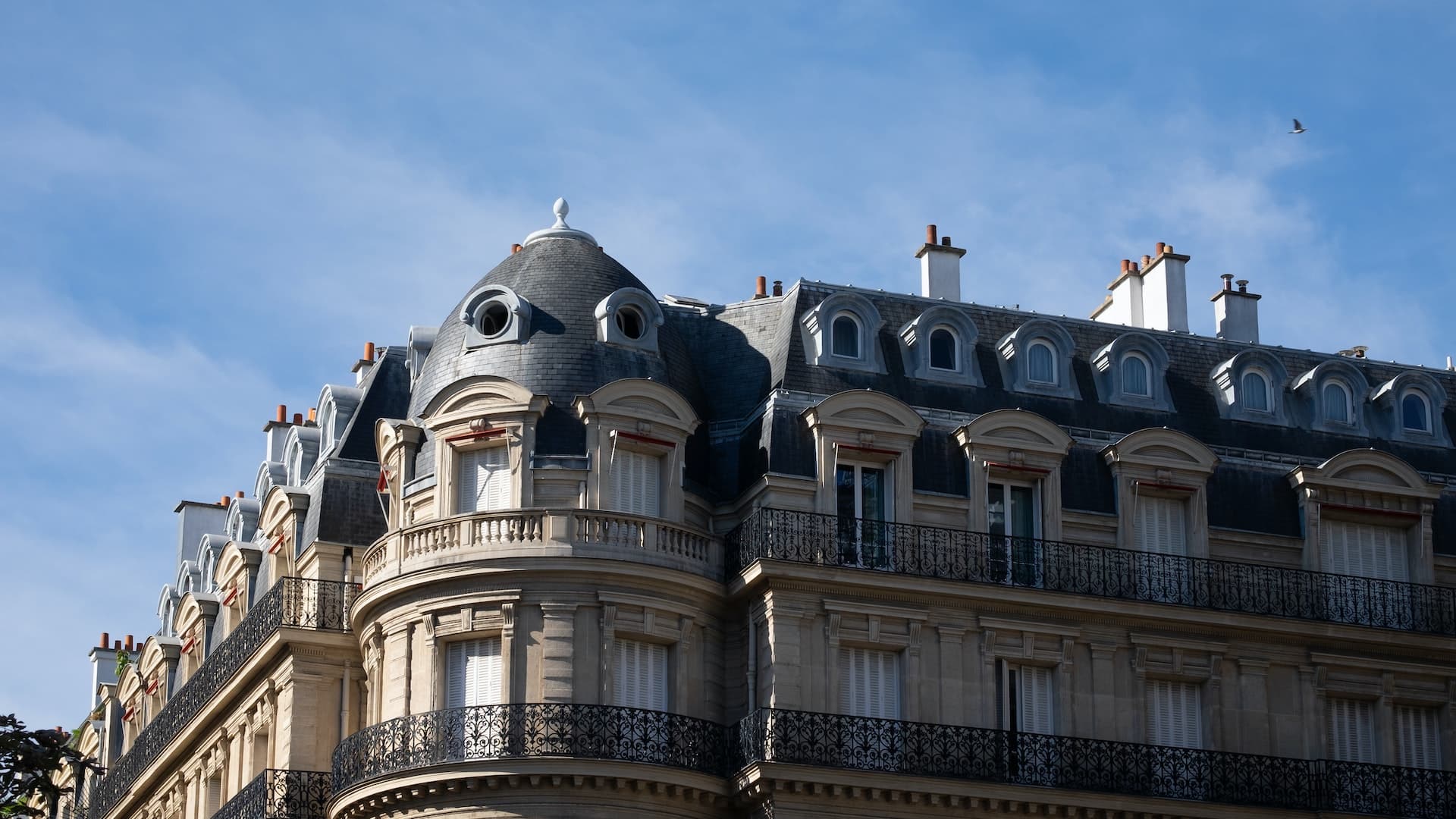 ¡Celebra el Año Nuevo con nuestras increíbles ofertas!